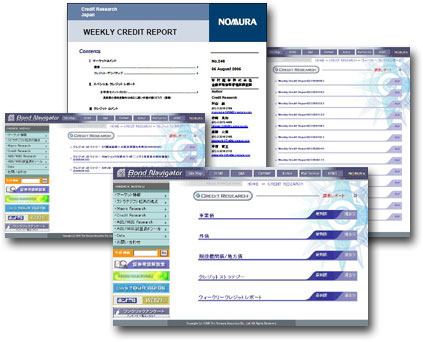 Credit Report Sample With Explanation